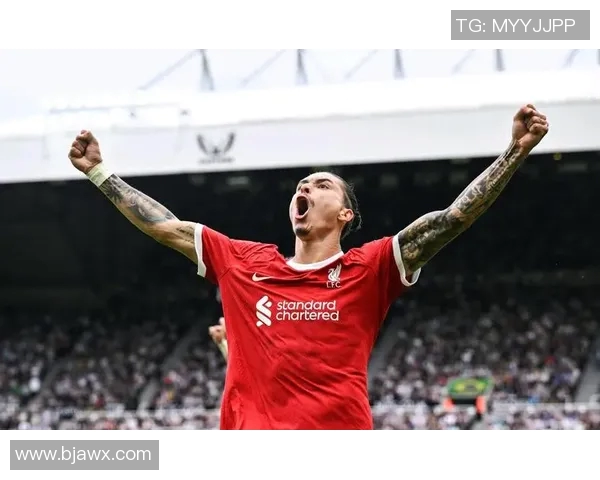 努涅斯的崛起与挑战:在足球世界中书写属于自己的传奇篇章